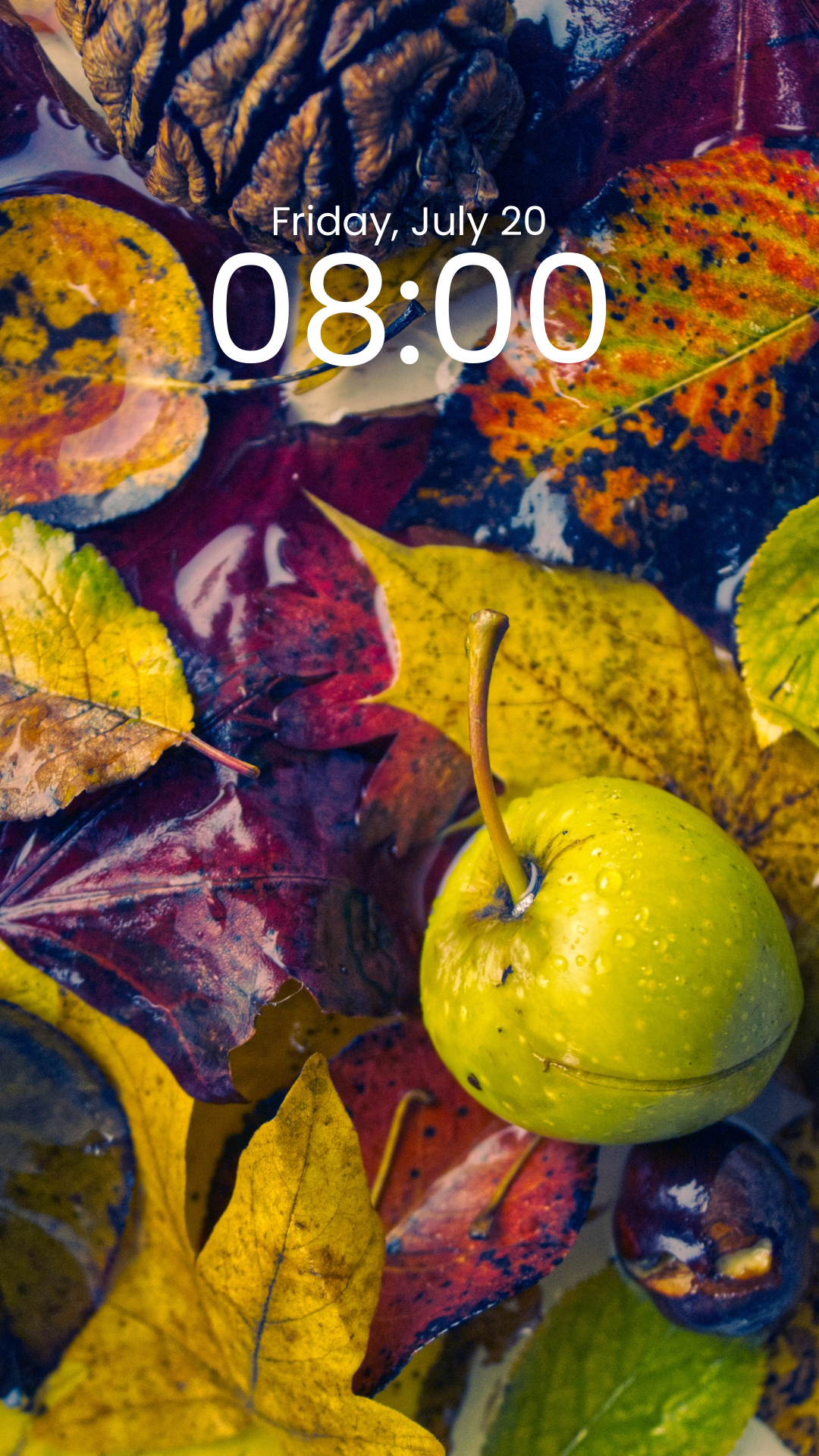 Autumn leaves 3 - phone background