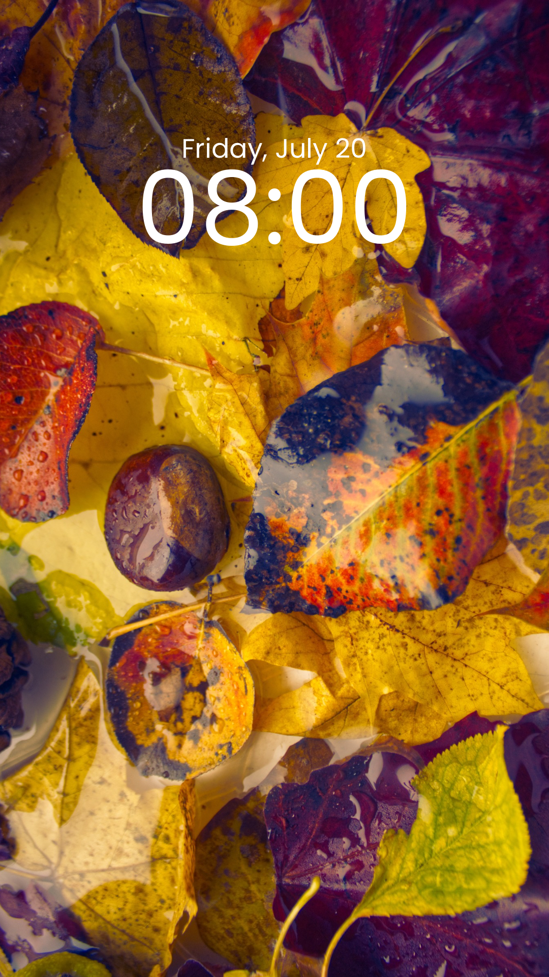 Autumn leaves - phone background
