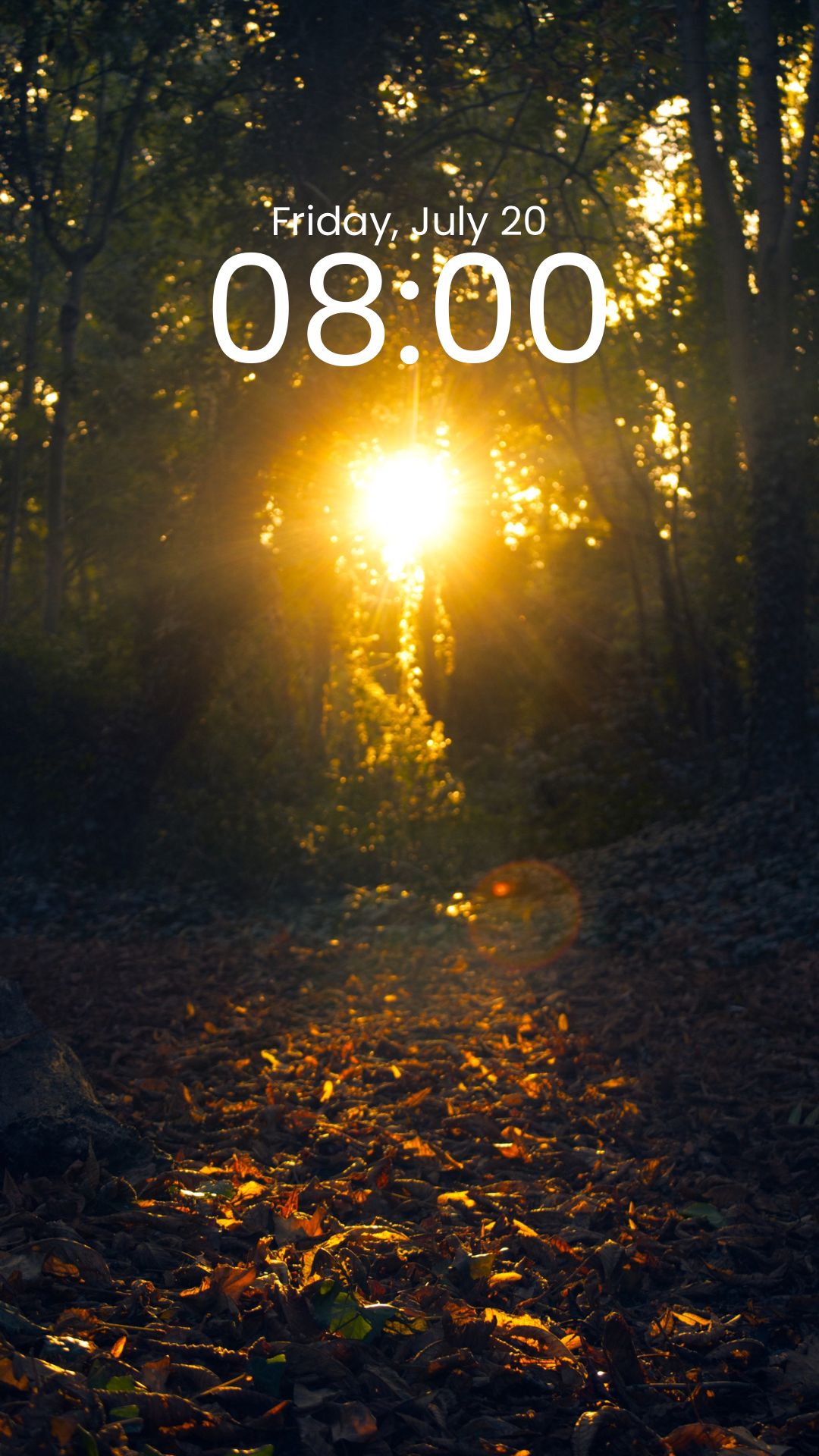 Phone wallpaper - Autumnal glow