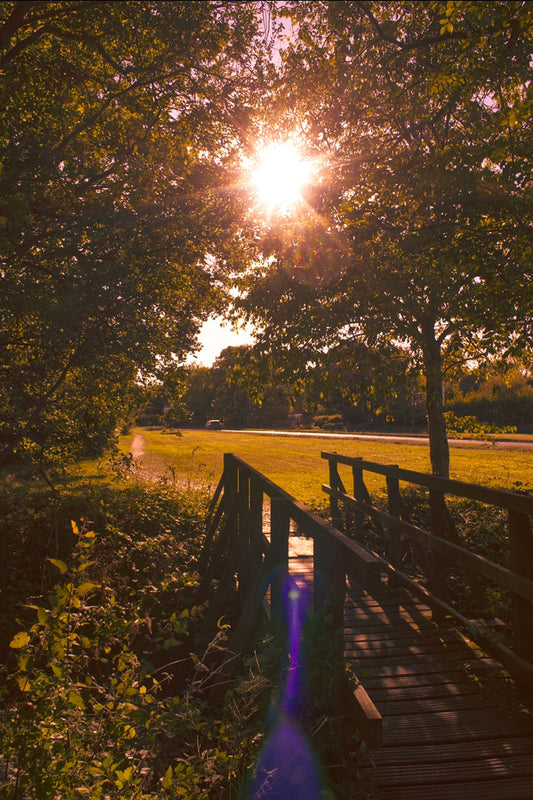 Phone background - Lit path